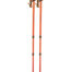 Expedition Trail Walk Poles