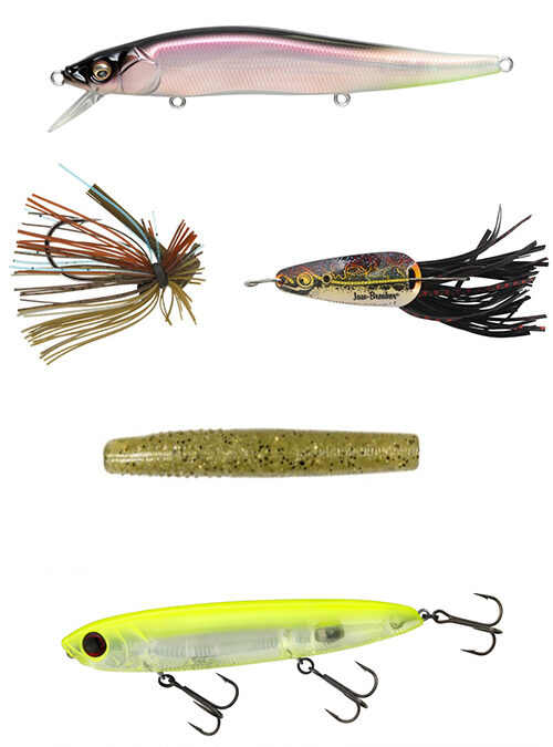 Bass Lures