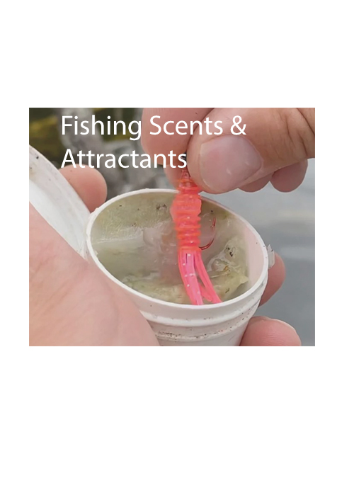Fishing Scents & Attractants
