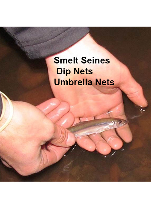 Smelt Nets & Seines